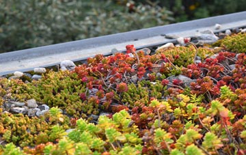 the cost of Halton Green green roof installation