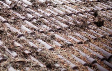 Halton Green roof cleaning companies